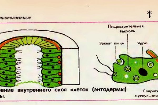 Ссылка на кракен в браузере